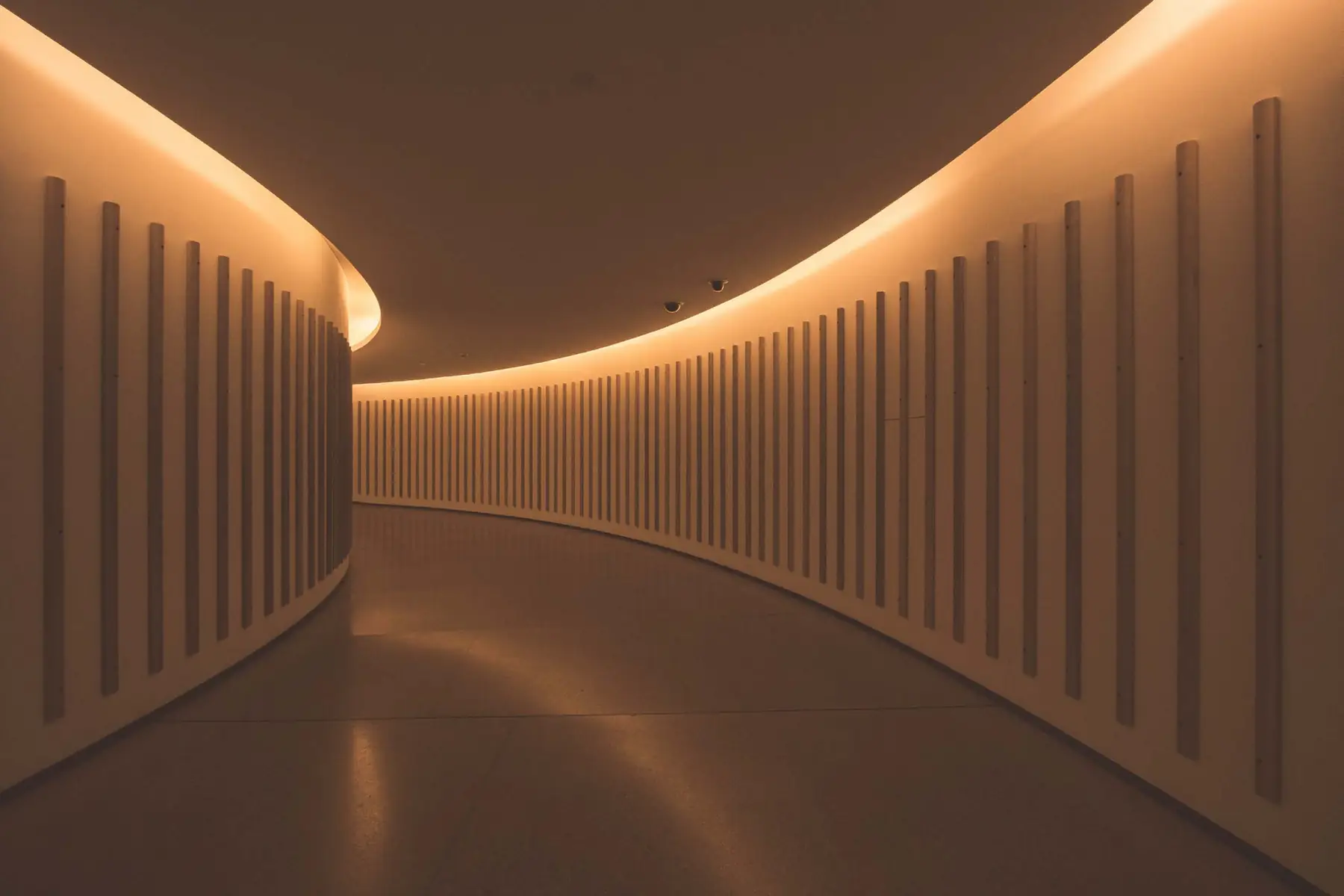 Curved corridor lined with backlit vertical timber battens