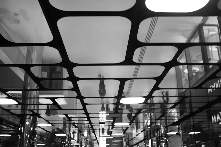 Decorative black lattice ceiling